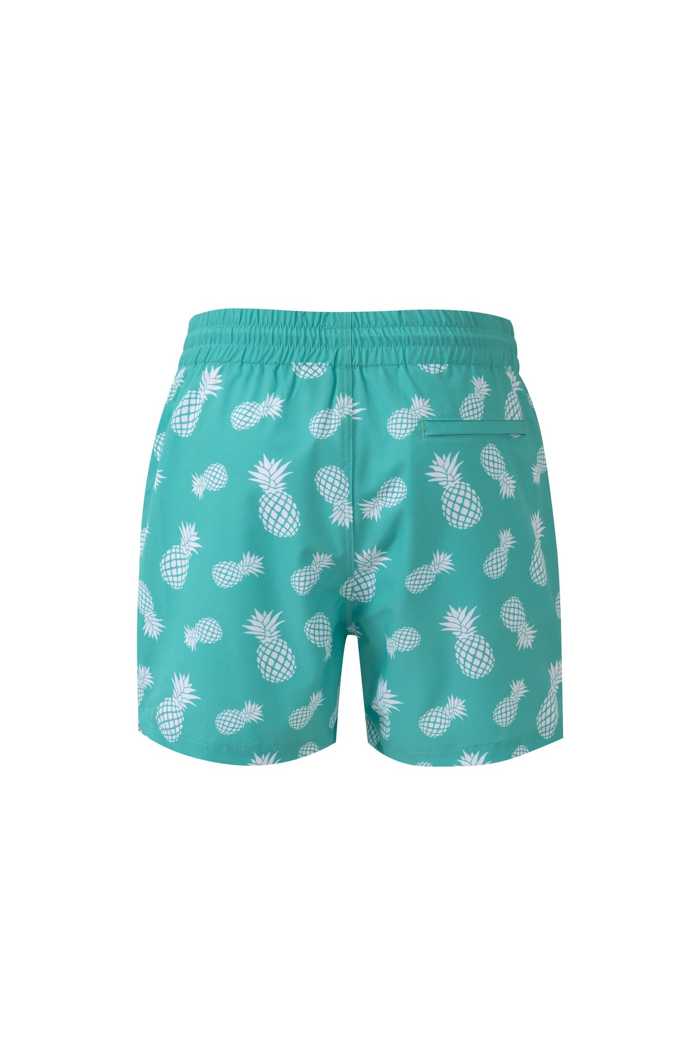 Swimming shorts-Pineapple-Teal-Mint-Green