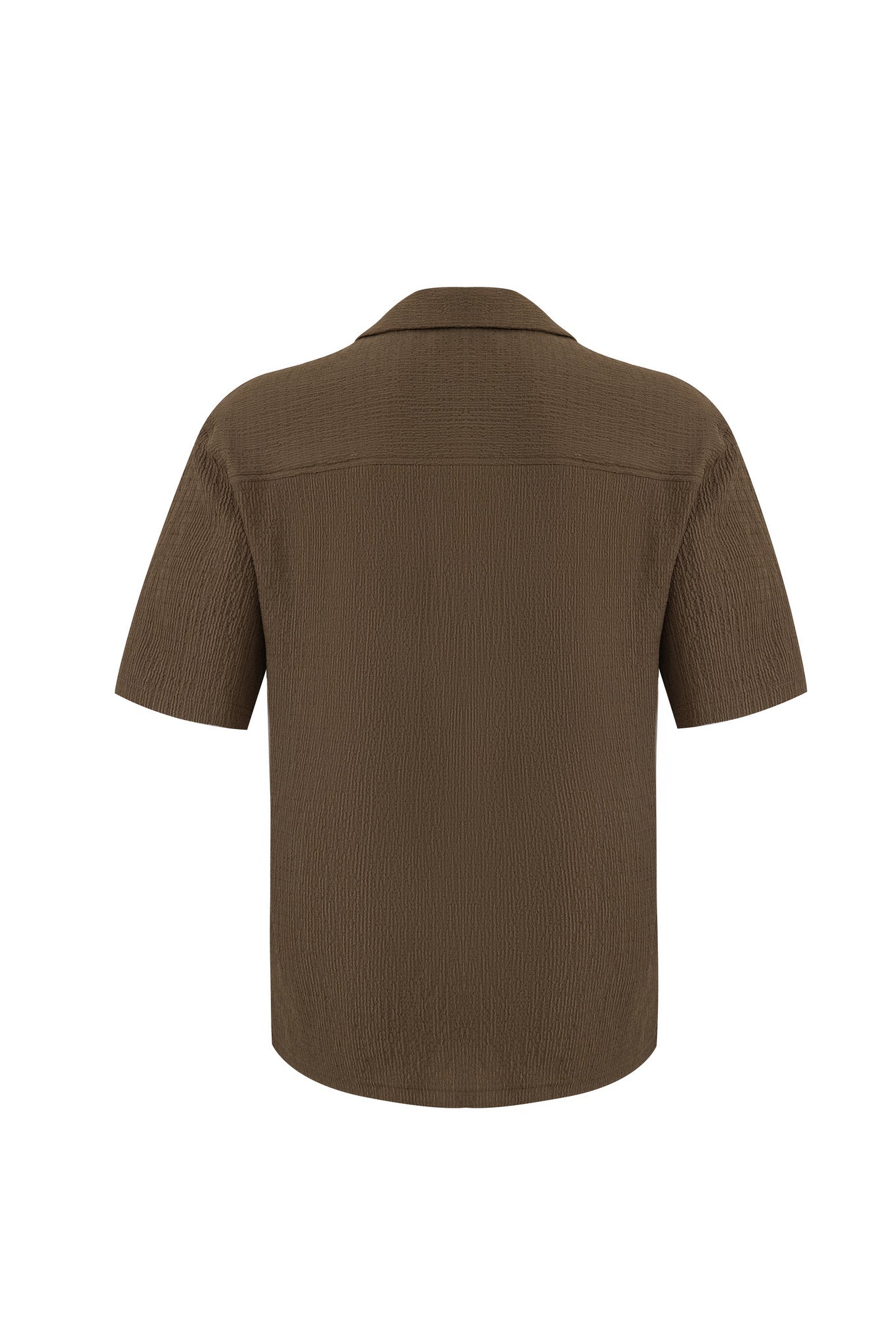Textured T-shirt-Olive × Chino Short-Beige — Combo Look